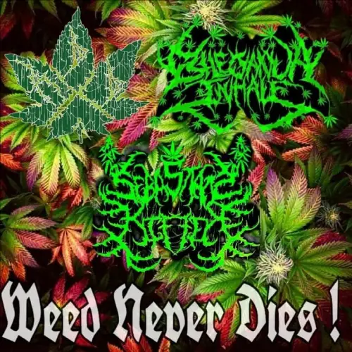 Sebastian Kiffer : Weed Never Dies !